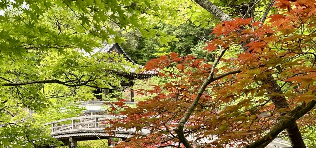 人材紹介事業